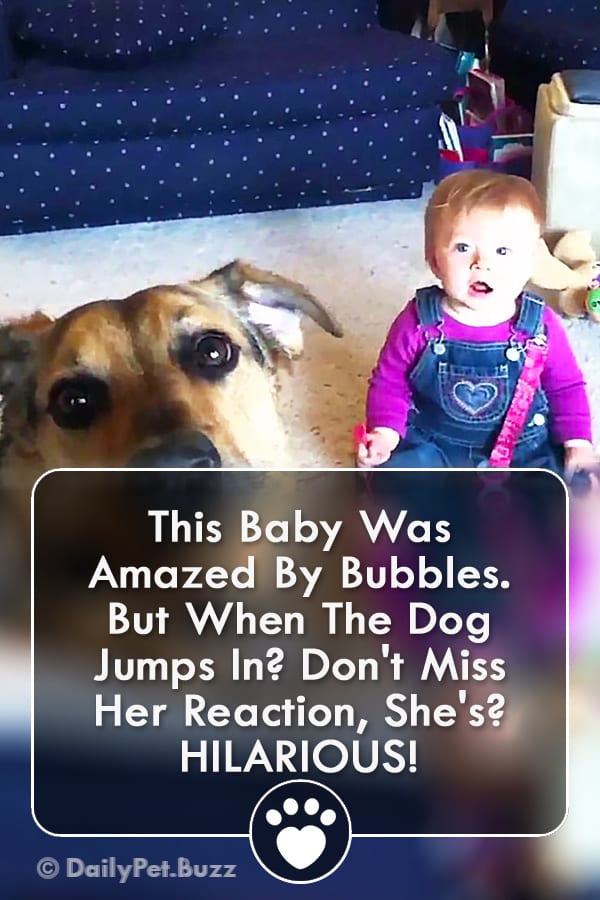 This Baby Was Amazed By Bubbles. But When The Dog Jumps In? Don\'t Miss Her Reaction, She\'s? HILARIOUS!