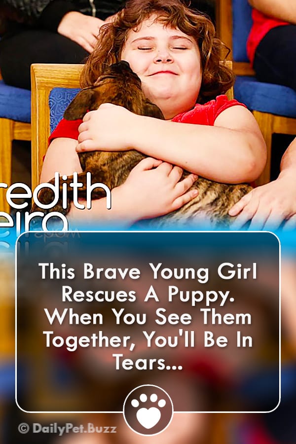 This Brave Young Girl Rescues A Puppy. When You See Them Together, You\'ll Be In Tears...