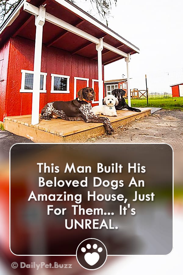 This Man Built His Beloved Dogs An Amazing House, Just For Them... It\'s UNREAL.