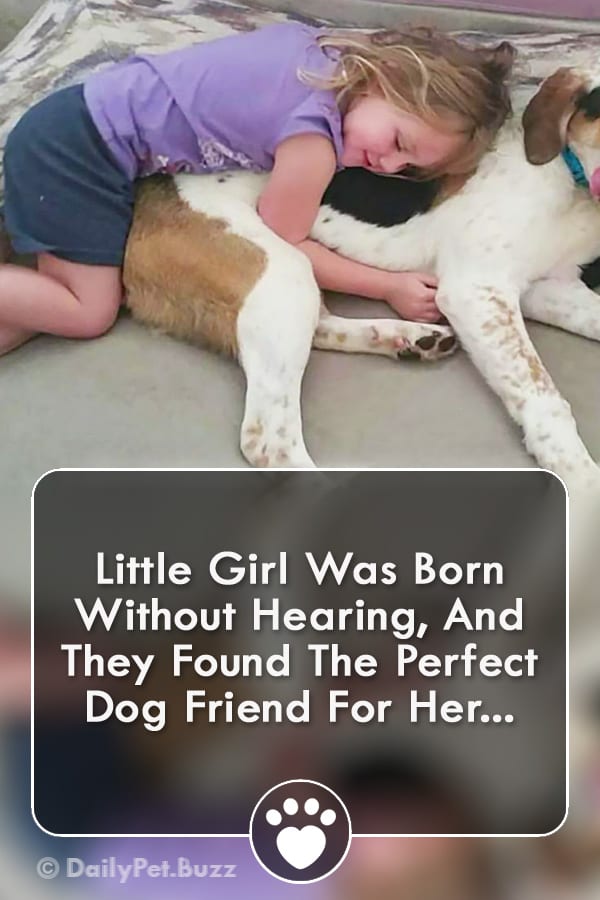 Little Girl Was Born Without Hearing, And They Found The Perfect Dog Friend For Her...