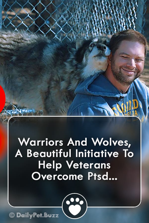 Warriors And Wolves, A Beautiful Initiative To Help Veterans Overcome Ptsd...