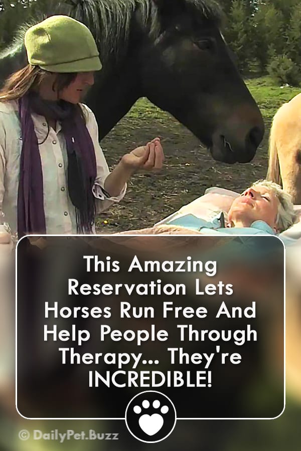 This Amazing Reservation Lets Horses Run Free And Help People Through Therapy... They\'re INCREDIBLE!