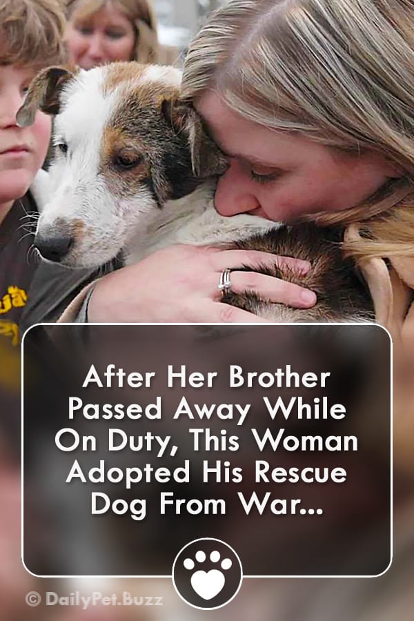 After Her Brother Passed Away While On Duty, This Woman Adopted His Rescue Dog From War...
