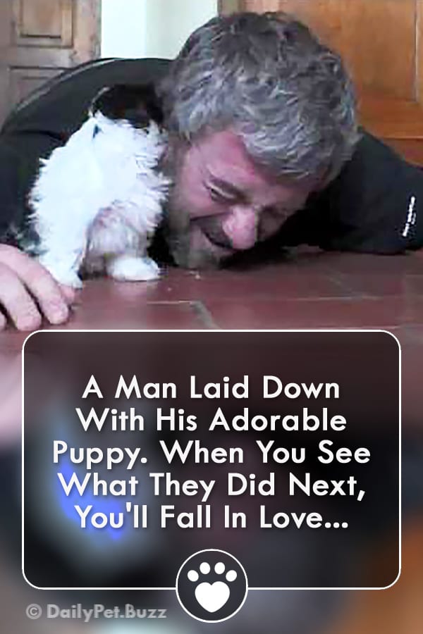 A Man Laid Down With His Adorable Puppy. When You See What They Did Next, You\'ll Fall In Love...
