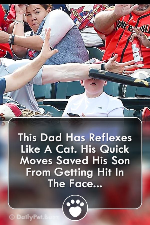 This Dad Has Reflexes Like A Cat. His Quick Moves Saved His Son From Getting Hit In The Face...