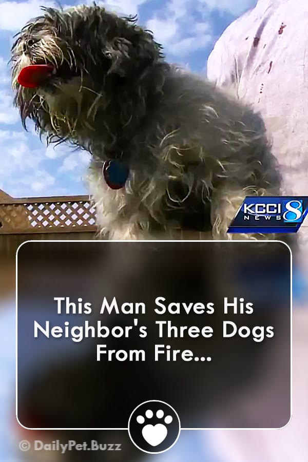 This Man Saves His Neighbor\'s Three Dogs From Fire...