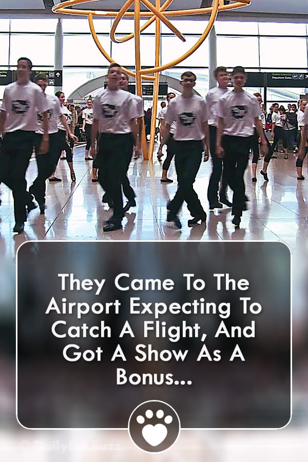 They Came To The Airport Expecting To Catch A Flight, And Got A Show As A Bonus...
