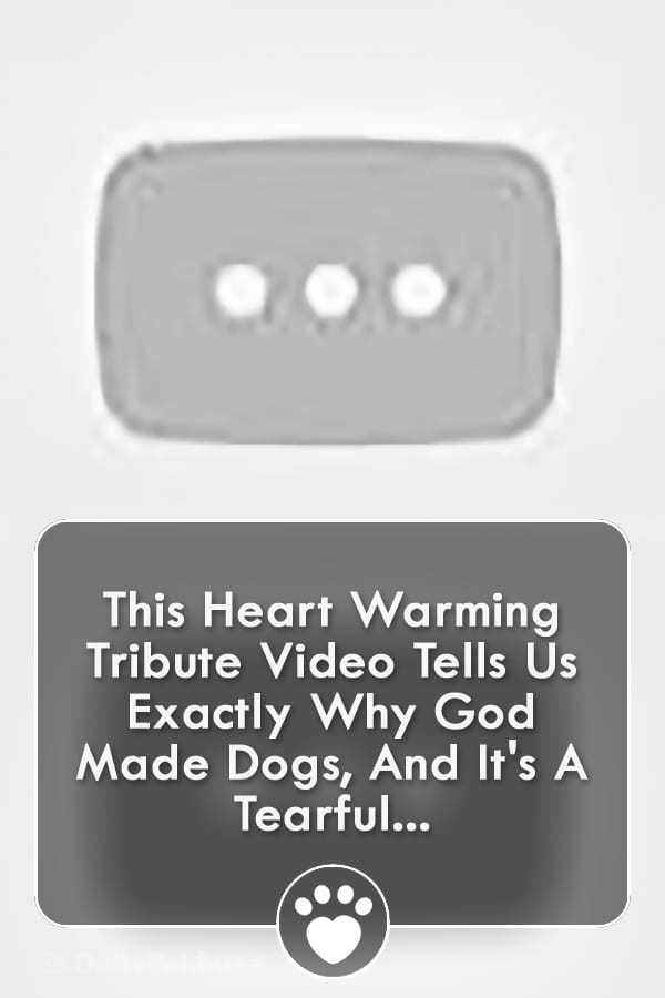 This Heart Warming Tribute Video Tells Us Exactly Why God Made Dogs, And It\'s A Tearful...