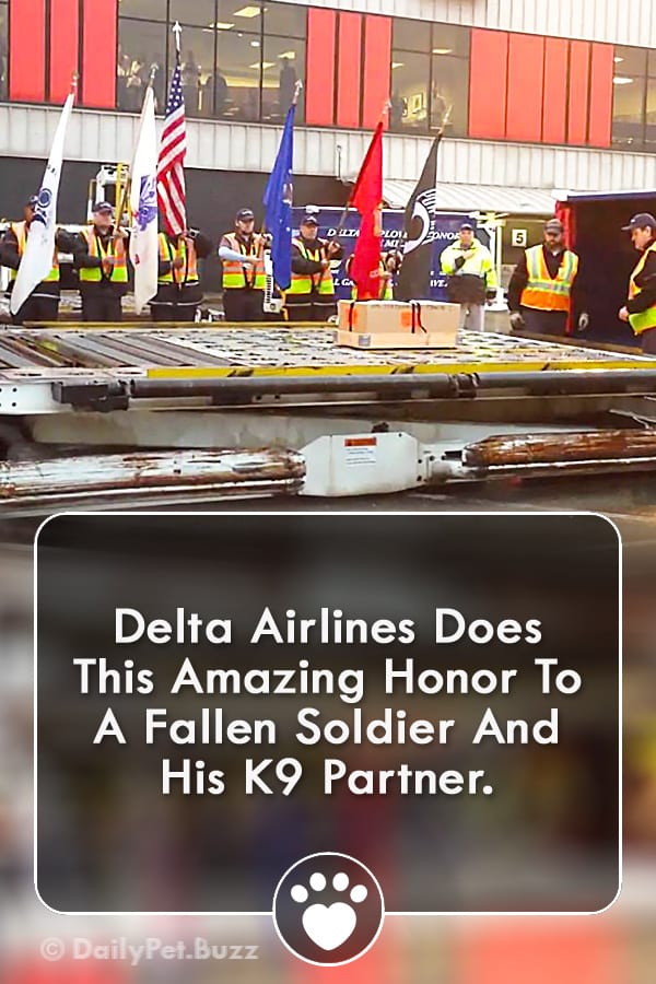 Delta Airlines Does This Amazing Honor To A Fallen Soldier And His K9 Partner.