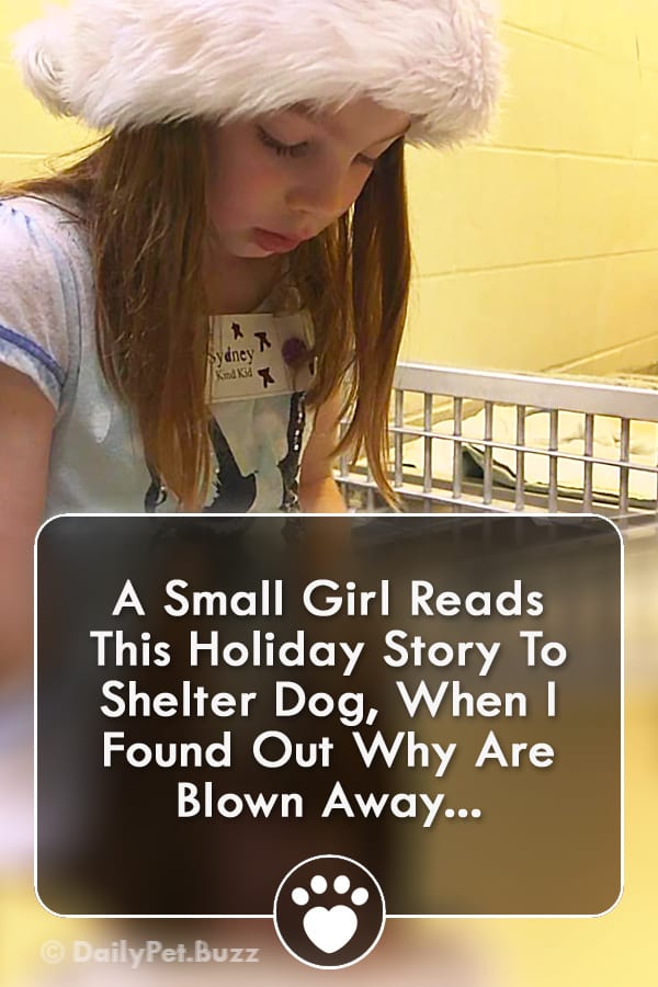 A Small Girl Reads This Holiday Story To Shelter Dog, When I Found Out Why Are Blown Away...