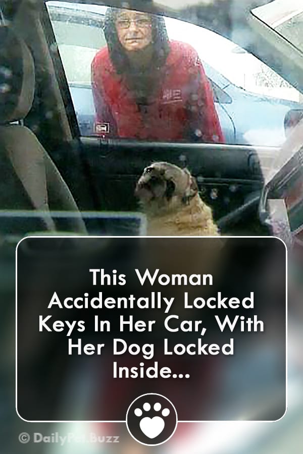 This Woman Accidentally Locked Keys In Her Car, With Her Dog Locked Inside...