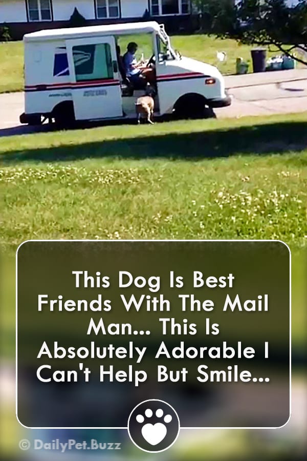 This Dog Is Best Friends With The Mail Man... This Is Absolutely Adorable I Can\'t Help But Smile!