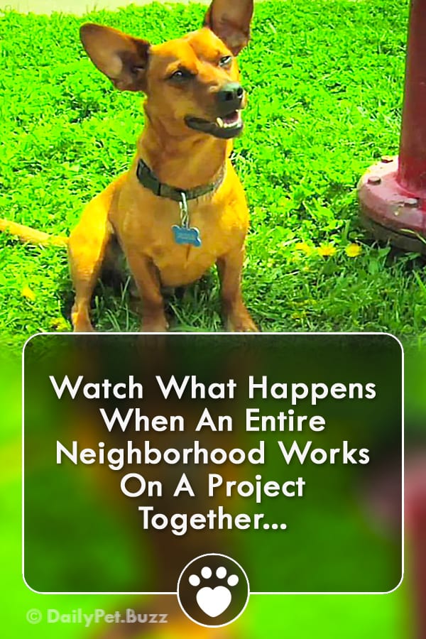 Watch What Happens When An Entire Neighborhood Works On A Project Together...
