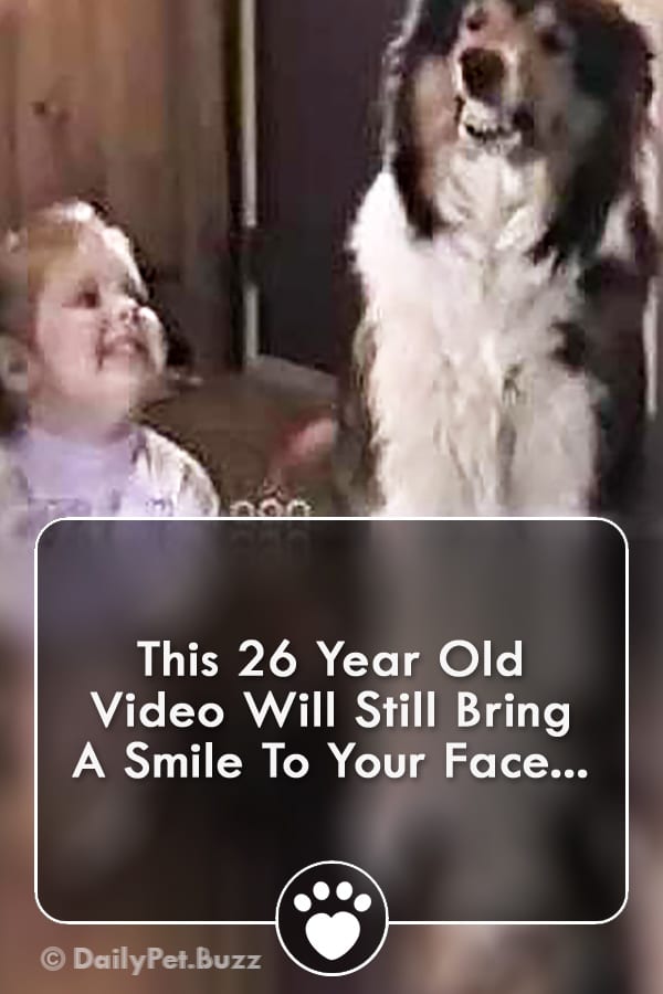 This 26 Year Old Video Will Still Bring A Smile To Your Face...