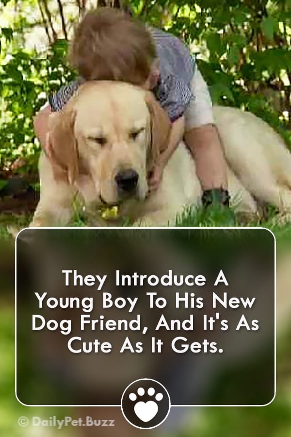 They Introduce A Young Boy To His New Dog Friend, And It\'s As Cute As It Gets.