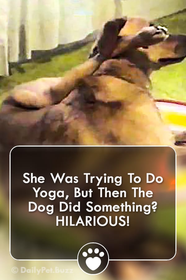 She Was Trying To Do Yoga, But Then The Dog Did Something? HILARIOUS!