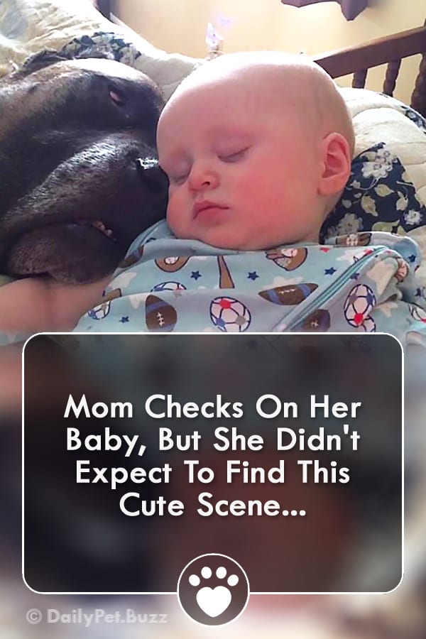 Mom Checks On Her Baby, But She Didn\'t Expect To Find This Cute Scene...