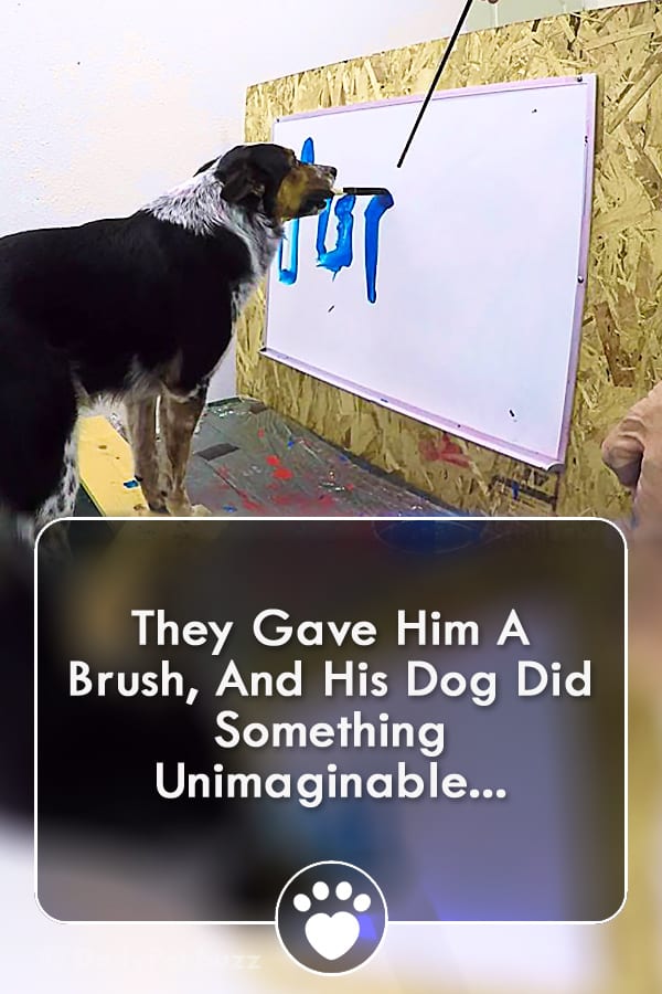 They Gave Him A Brush, And His Dog Did Something Unimaginable...