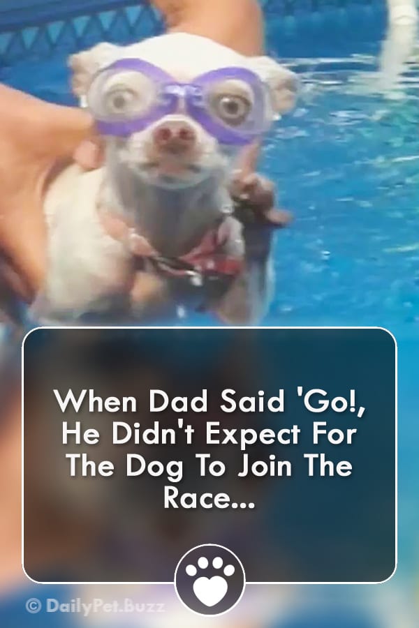 When Dad Said \'Go!, He Didn\'t Expect For The Dog To Join The Race...