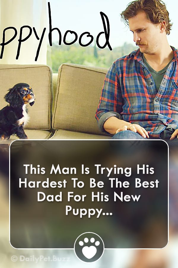 This Man Is Trying His Hardest To Be The Best Dad For His New Puppy...