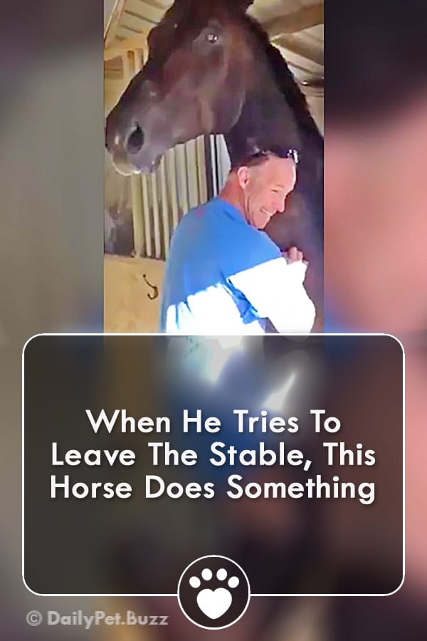 When He Tries To Leave The Stable, This Horse Does Something