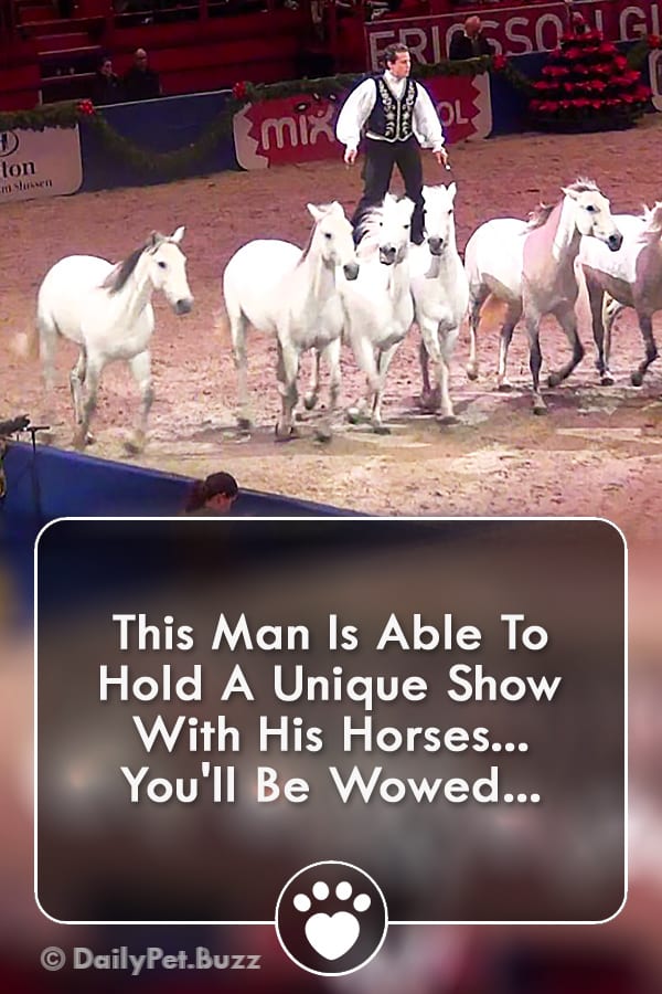 This Man Is Able To Hold A Unique Show With His Horses... You\'ll Be Wowed...