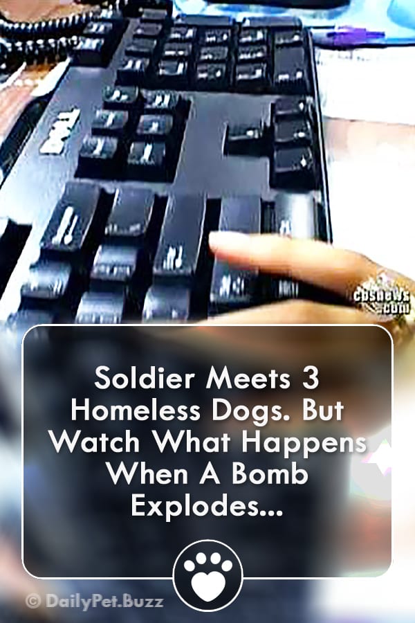 Soldier Meets 3 Homeless Dogs. But Watch What Happens When A Bomb Explodes...