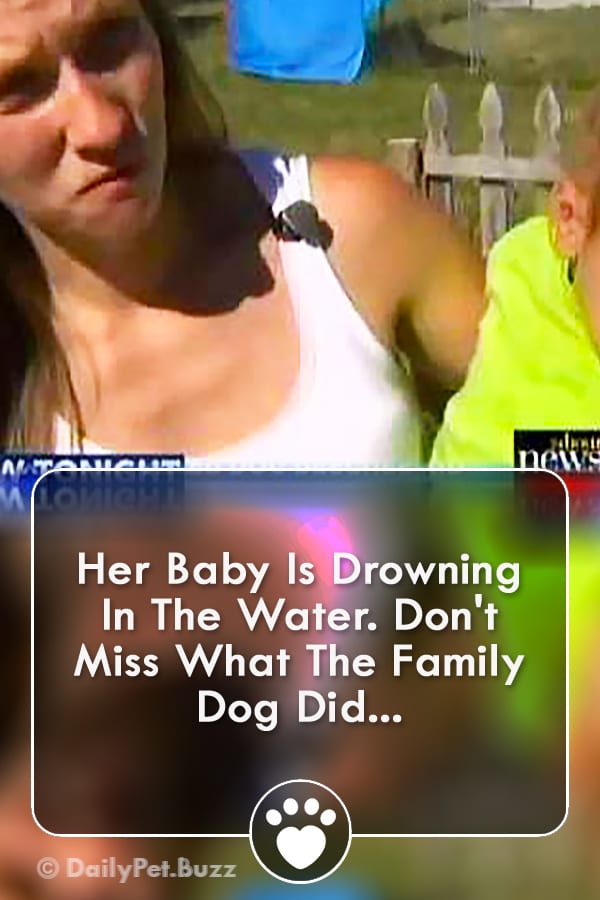 Her Baby Is Drowning In The Water. Don\'t Miss What The Family Dog Did...