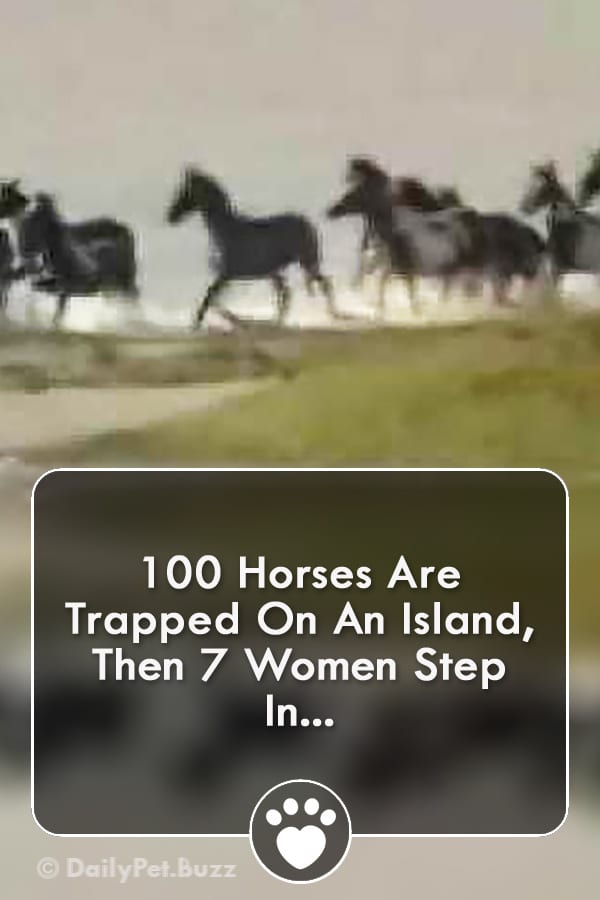 100 Horses Are Trapped On An Island, Then 7 Women Step In...