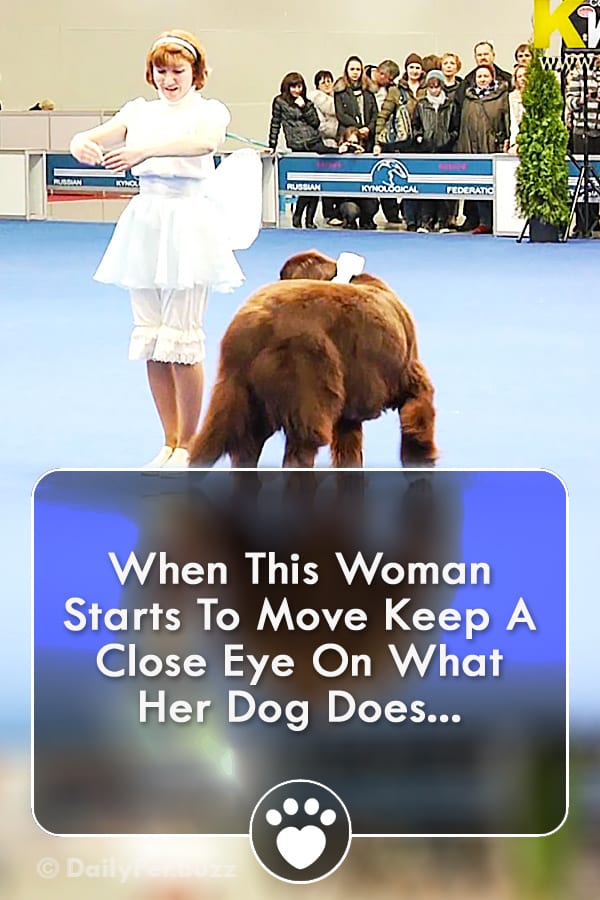 When This Woman Starts To Move Keep A Close Eye On What Her Dog Does...