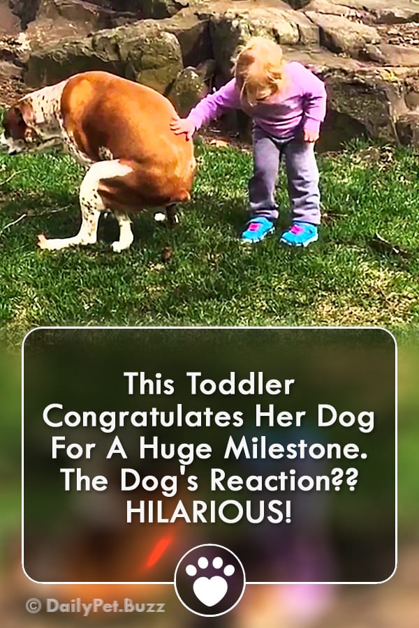 This Toddler Congratulates Her Dog For A Huge Milestone. The Dog\'s Reaction?? HILARIOUS!