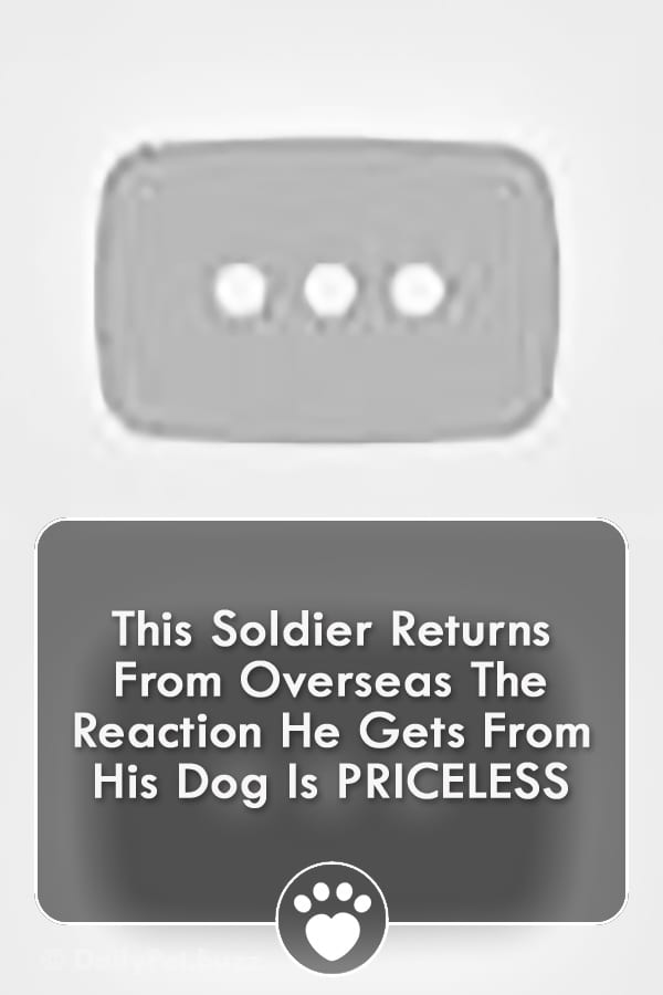 This Soldier Returns From Overseas The Reaction He Gets From His Dog Is PRICELESS