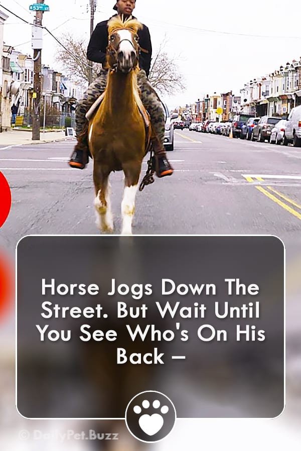 Horse Jogs Down The Street. But Wait Until You See Who\'s On His Back –