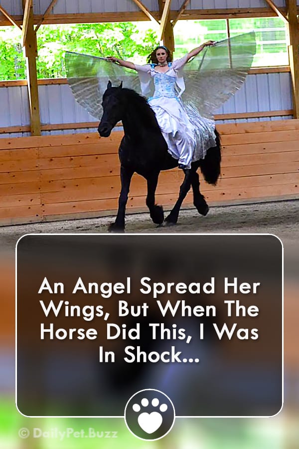 An Angel Spread Her Wings, But When The Horse Did This, I Was In Shock...