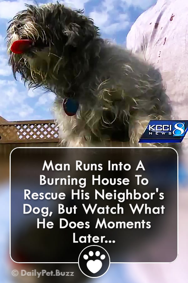 Man Runs Into A Burning House To Rescue His Neighbor\'s Dog, But Watch What He Does Moments Later...