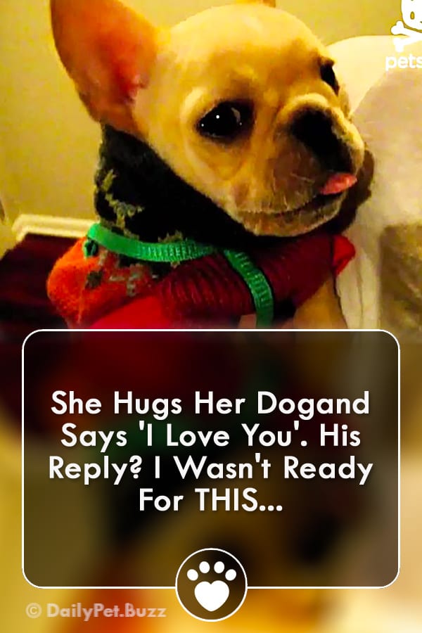 She Hugs Her Dogand Says \'I Love You\'. His Reply? I Wasn\'t Ready For THIS...