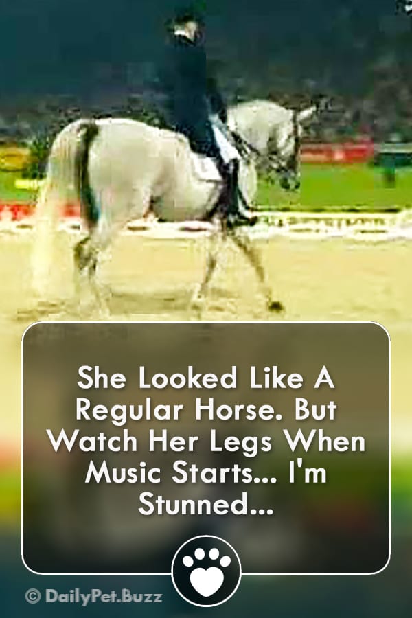 She Looked Like A Regular Horse. But Watch Her Legs When Music Starts... I\'m Stunned...
