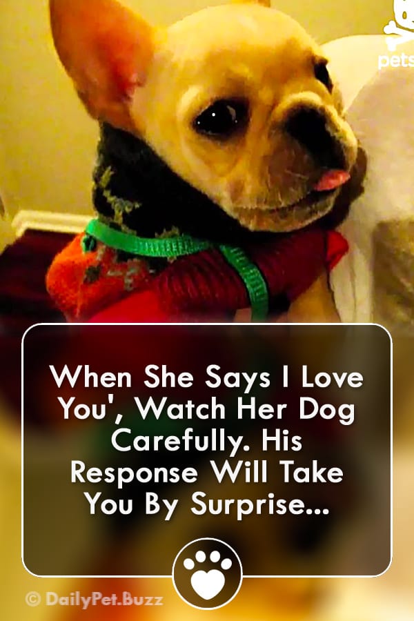 When She Says I Love You\', Watch Her Dog Carefully. His Response Will Take You By Surprise...