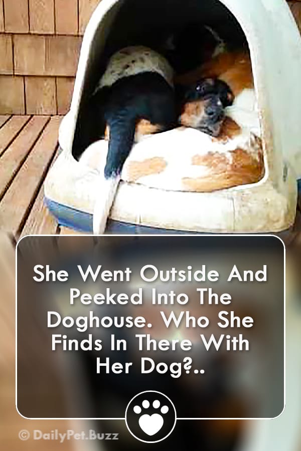 She Went Outside And Peeked Into The Doghouse. Who She Finds In There With Her Dog?..
