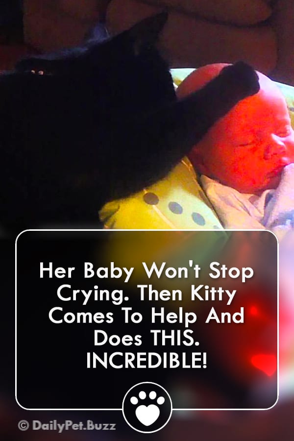 Her Baby Won\'t Stop Crying. Then Kitty Comes To Help And Does THIS. INCREDIBLE!