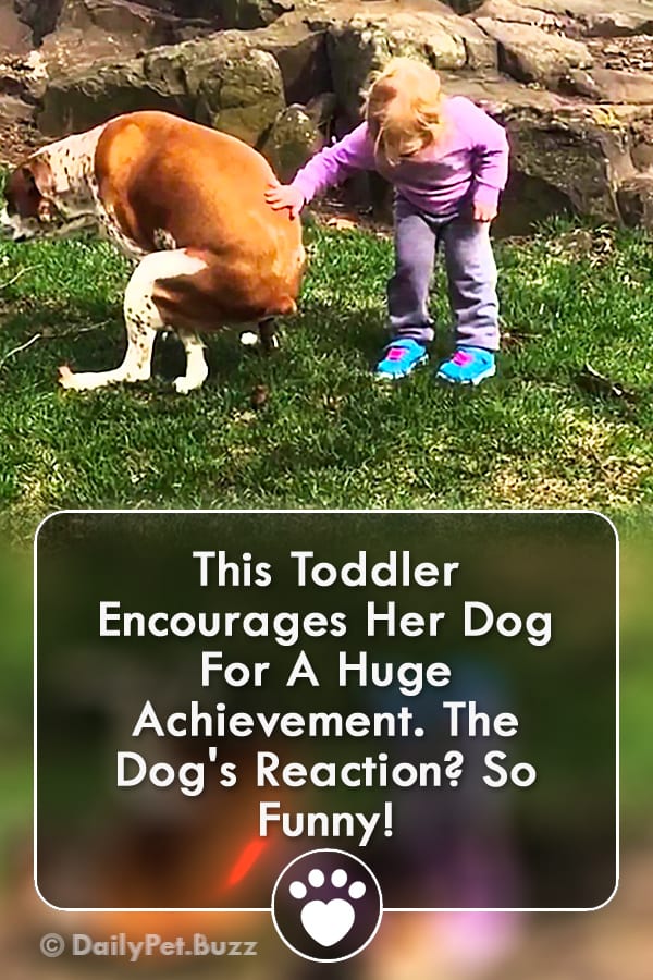 This Toddler Encourages Her Dog For A Huge Achievement. The Dog\'s Reaction? So Funny!