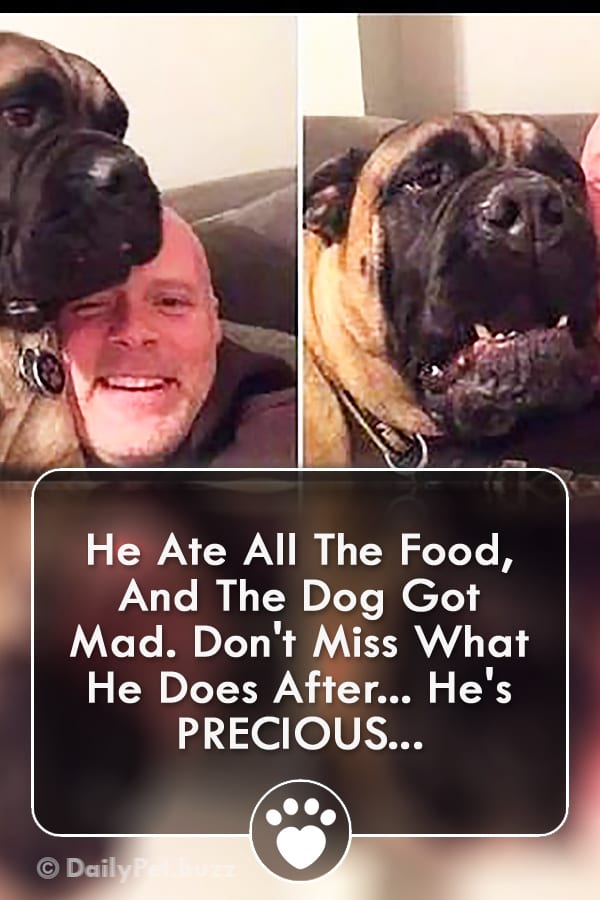 He Ate All The Food, And The Dog Got Mad. Don\'t Miss What He Does After... He\'s PRECIOUS...