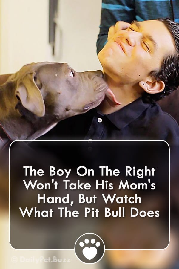 The Boy On The Right Won\'t Take His Mom\'s Hand, But Watch What The Pit Bull Does
