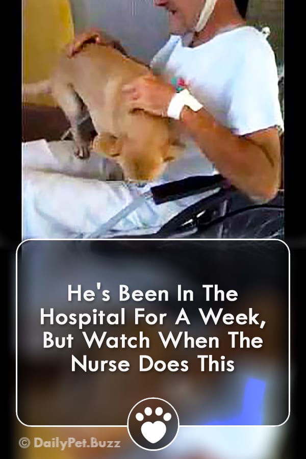 He\'s Been In The Hospital For A Week, But Watch When The Nurse Does This