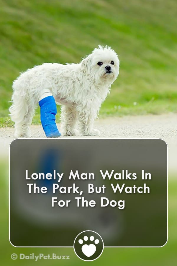 Lonely Man Walks In The Park, But Watch For The Dog