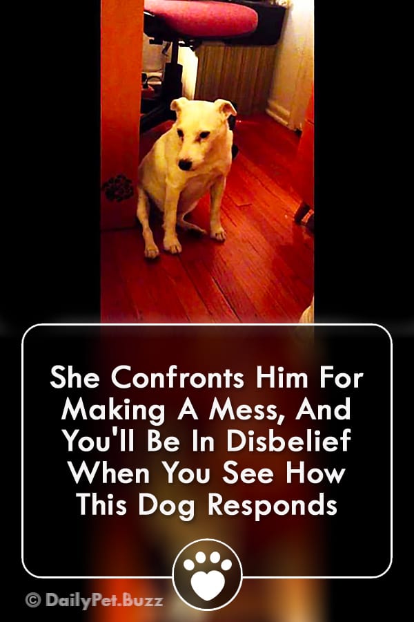 She Confronts Him For Making A Mess, And You\'ll Be In Disbelief When You See How This Dog Responds
