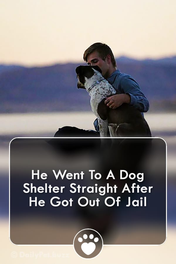 He Went To A Dog Shelter Straight After He Got Out Of Jail