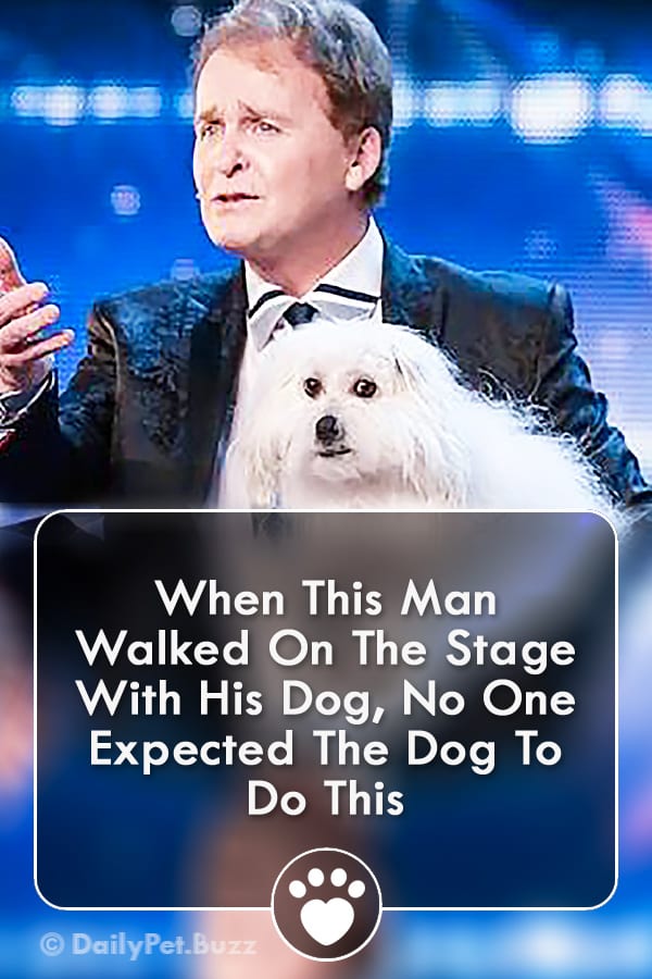 When This Man Walked On The Stage With His Dog, No One Expected The Dog To Do This
