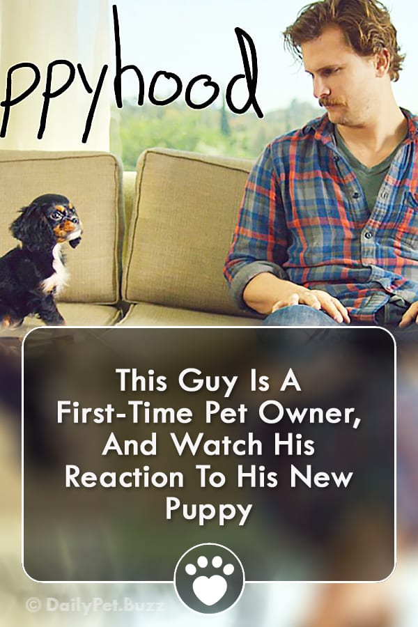 This Guy Is A First-Time Pet Owner, And Watch His Reaction To His New Puppy
