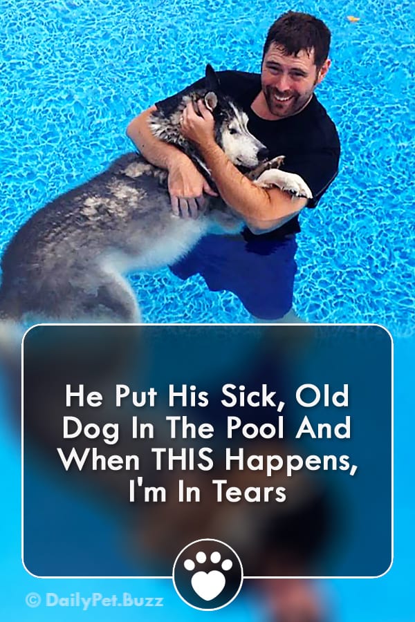 He Put His Sick, Old Dog In The Pool And When THIS Happens, I\'m In Tears
